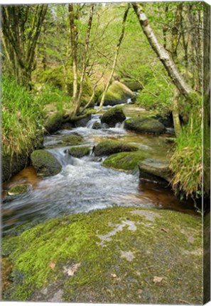 Framed Chaos Of  Huelgoat III Print