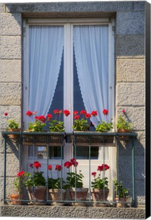 Framed Window With Red Geraniums Print
