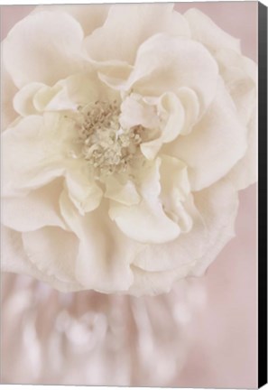 Framed Rose Gold Print