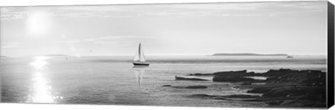 Framed Evening Sail Black and White Crop Print