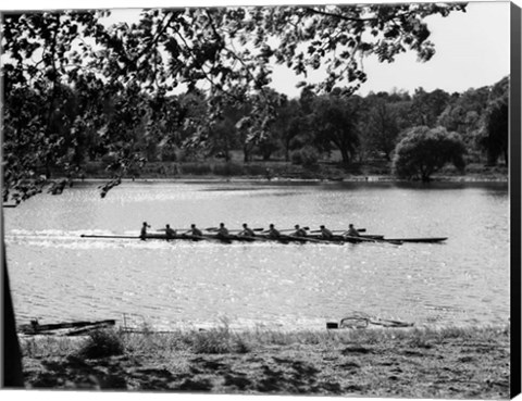 Framed 1930s Silhouette Sculling Boat Race Print