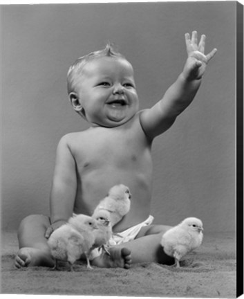 Framed 1950s Laughing Baby Surrounded By Little Baby Chicks Print