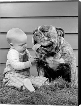 Framed 1950s 1960s Baby Sitting Playing With Bulldog Print