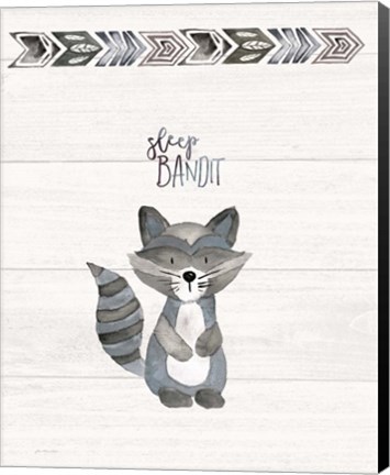 Framed Sleep Bandit Print