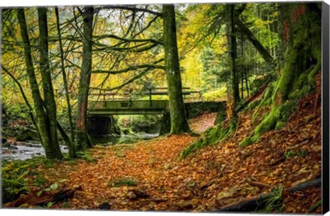 Framed Black Forest River Bridge Print