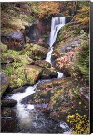 Framed Black Forest Upper Falls Print