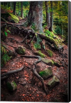 Framed Sentinels Along Our Path Print