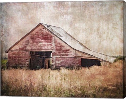 Framed Red Shed Print