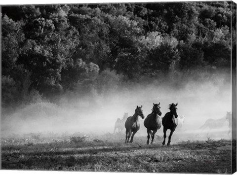 Framed Horse country Print