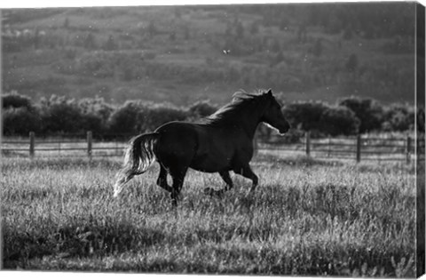 Framed Going Home Print