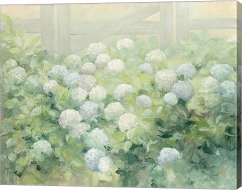 Framed Hydrangea Lane Print