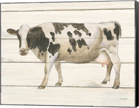 Framed Country Cow VI Print