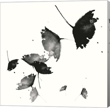 Framed B&amp;W Floral I Print