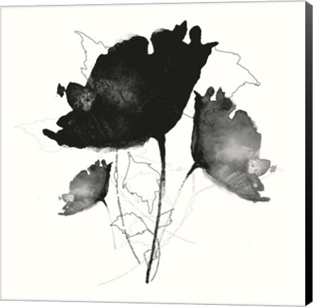 Framed B&amp;W Floral II Print