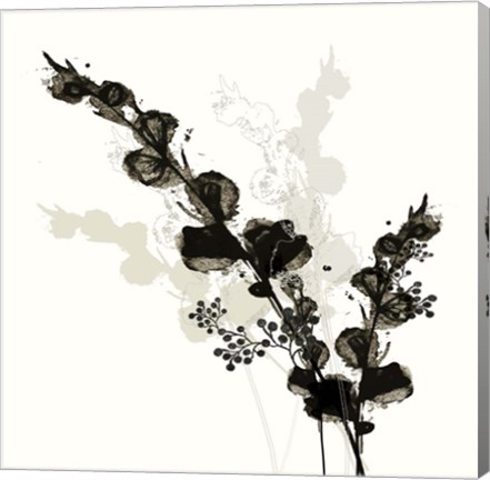 Framed B&amp;W Floral III Print