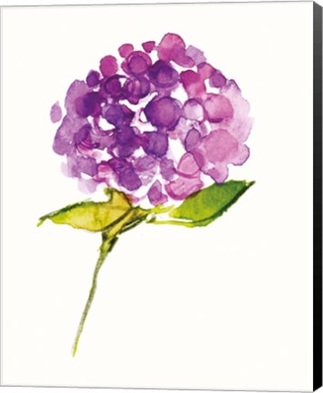 Framed Just to Say Hi Print