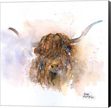 Framed Highland Cow Print