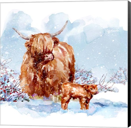 Framed Highland Cow &amp; Calf Print