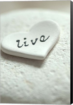 Framed Live Pebble Heart - Still Life Print