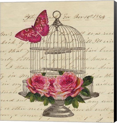 Framed Birdcage and Butterfly Print