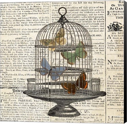 Framed Butterflies in Birdcage Print