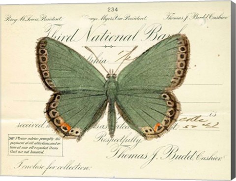 Framed Butterfly Green Print