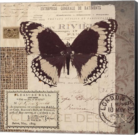 Framed Butterfly Stamp Print