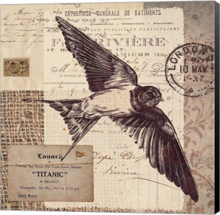 Framed Swallow Stamp Print