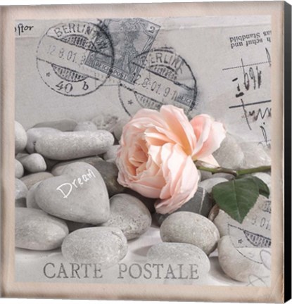 Framed Carte Postale - Rose Print