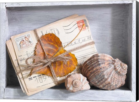 Framed Letters &amp; Shells Print
