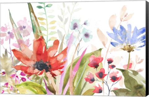 Framed Floral II Print