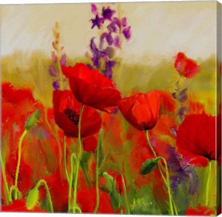 Framed Poppies Print