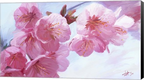 Framed Pink Blossom Print