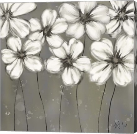 Framed Monochrome Daisies Print