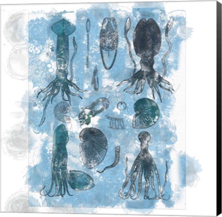 Framed Aquatic VII Print