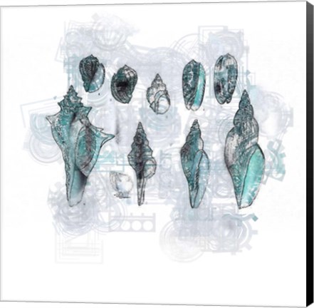 Framed Aquatic VIII Print