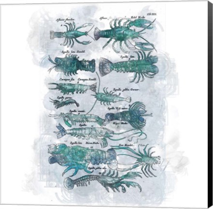 Framed Aquatic XI Print