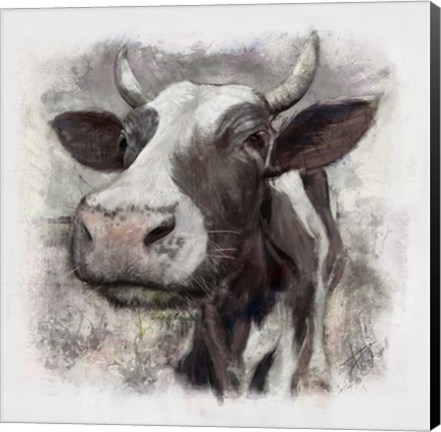 Framed Fresian Print