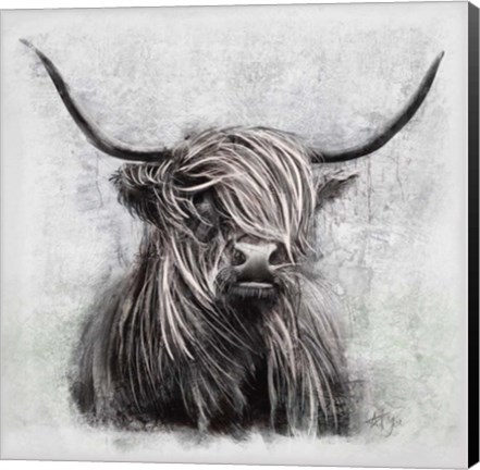 Framed Highlander Print