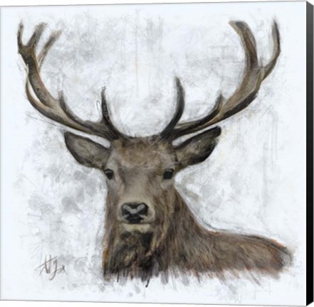 Framed Stag Print