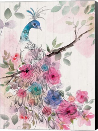 Framed Peacock Floral Print