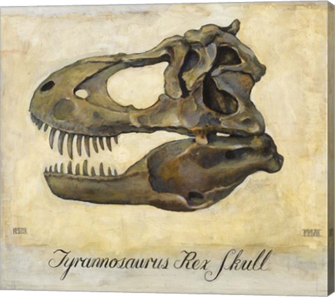 Framed Tyrannosaurus Rex Skull Print