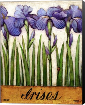 Framed Irises Print