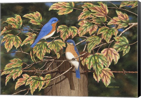 Framed Autumn Blues Print