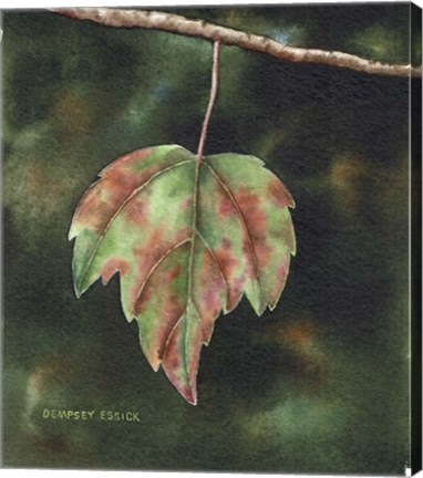 Framed One Leaf Left Print
