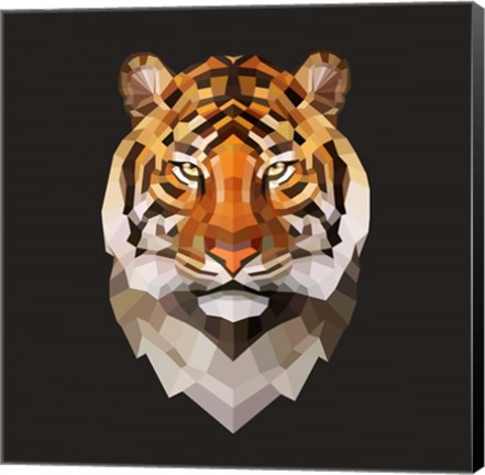 Framed Tiger Print