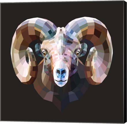 Framed Ram Print