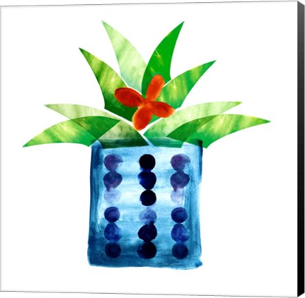 Framed Colorful Cactus VII Print