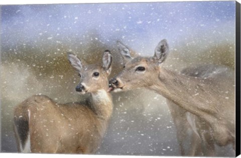 Framed Mothers Love Print