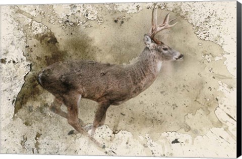 Framed Breaking Limits Print